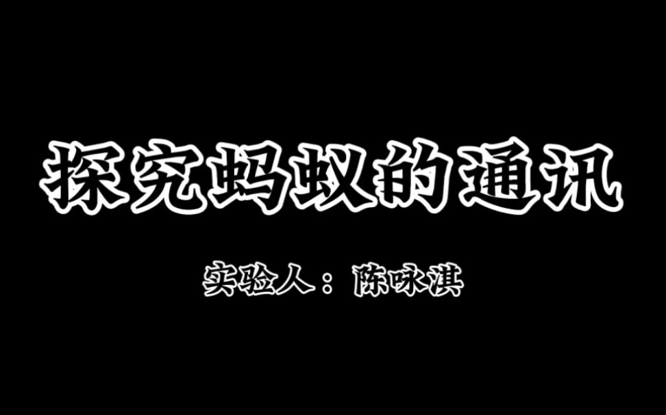 《探究蚂蚁的通讯》初中生物|社会行为|演示实验