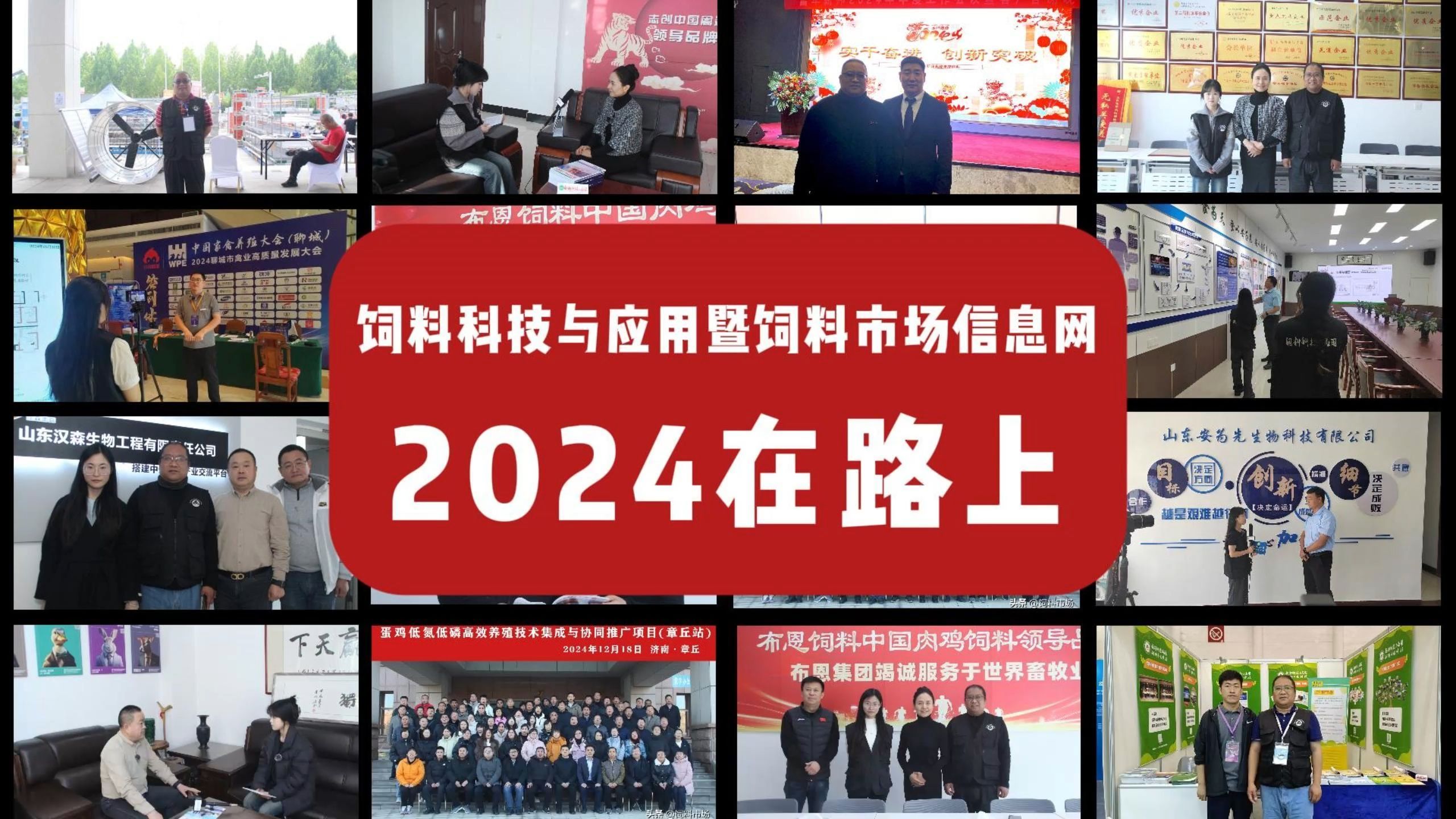 回首2024,共绘饲料市场融媒新篇章,饲料科技与应用杂志社暨中国饲料市场信息网祝读者朋友们元旦快乐哔哩哔哩bilibili