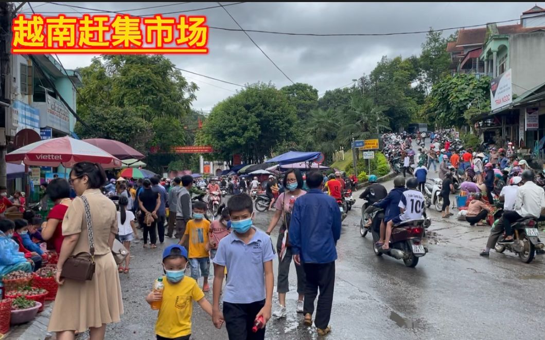 越南的赶集市场少数民族卖的很多野东西从来没见过哔哩哔哩bilibili