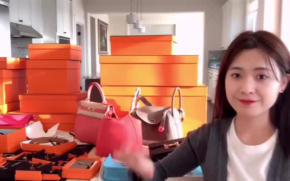 爱马仕Hermes干货❗️奢侈品包经典款配货比价格皮质科普二手价行情Special orderBirkinKelly康康包水桶包猪鼻子包哔哩哔哩bilibili