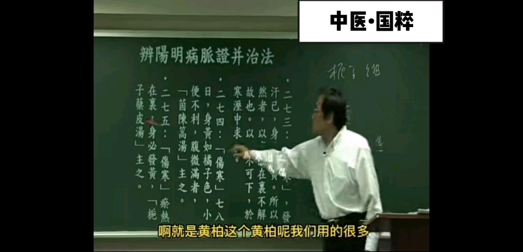 栀子柏皮汤不仅可以用于热证在里的黄疸,同时也可以用于眼科哔哩哔哩bilibili