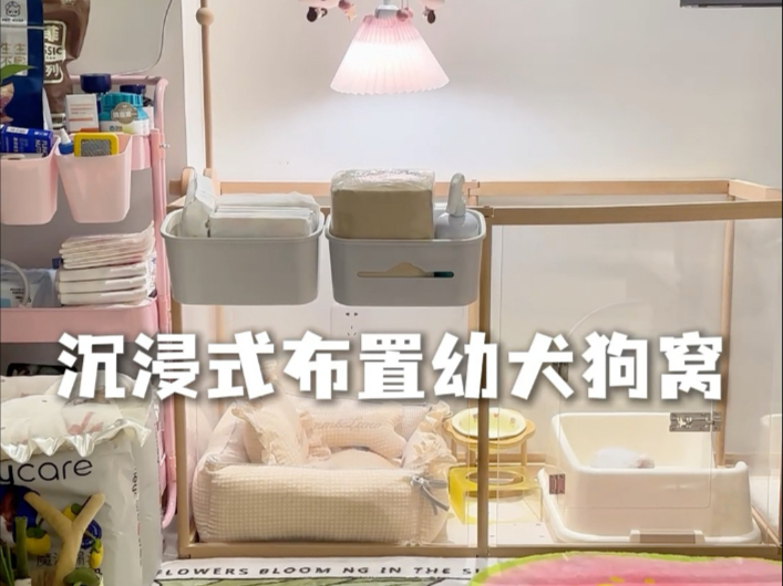 月薪3千给狗打造千万豪宅，沉浸式布置超绝狗窝🐶！