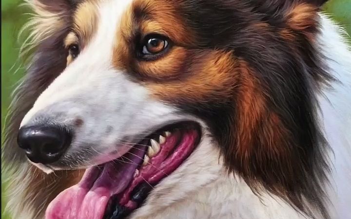 【油画】这狼长的有点可爱啊