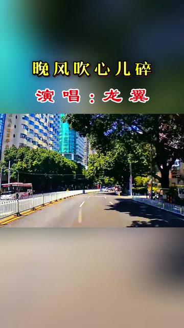 龙翼一首(晚风吹心儿碎)句句入心,伤感又好听!哔哩哔哩bilibili