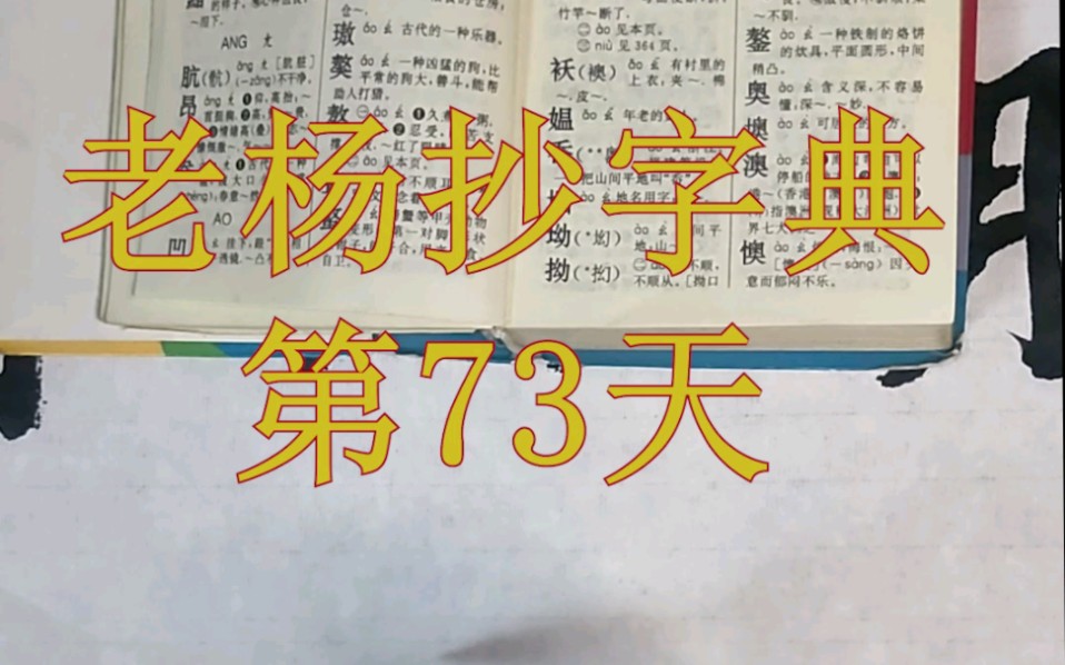 老杨抄字典第73天哔哩哔哩bilibili