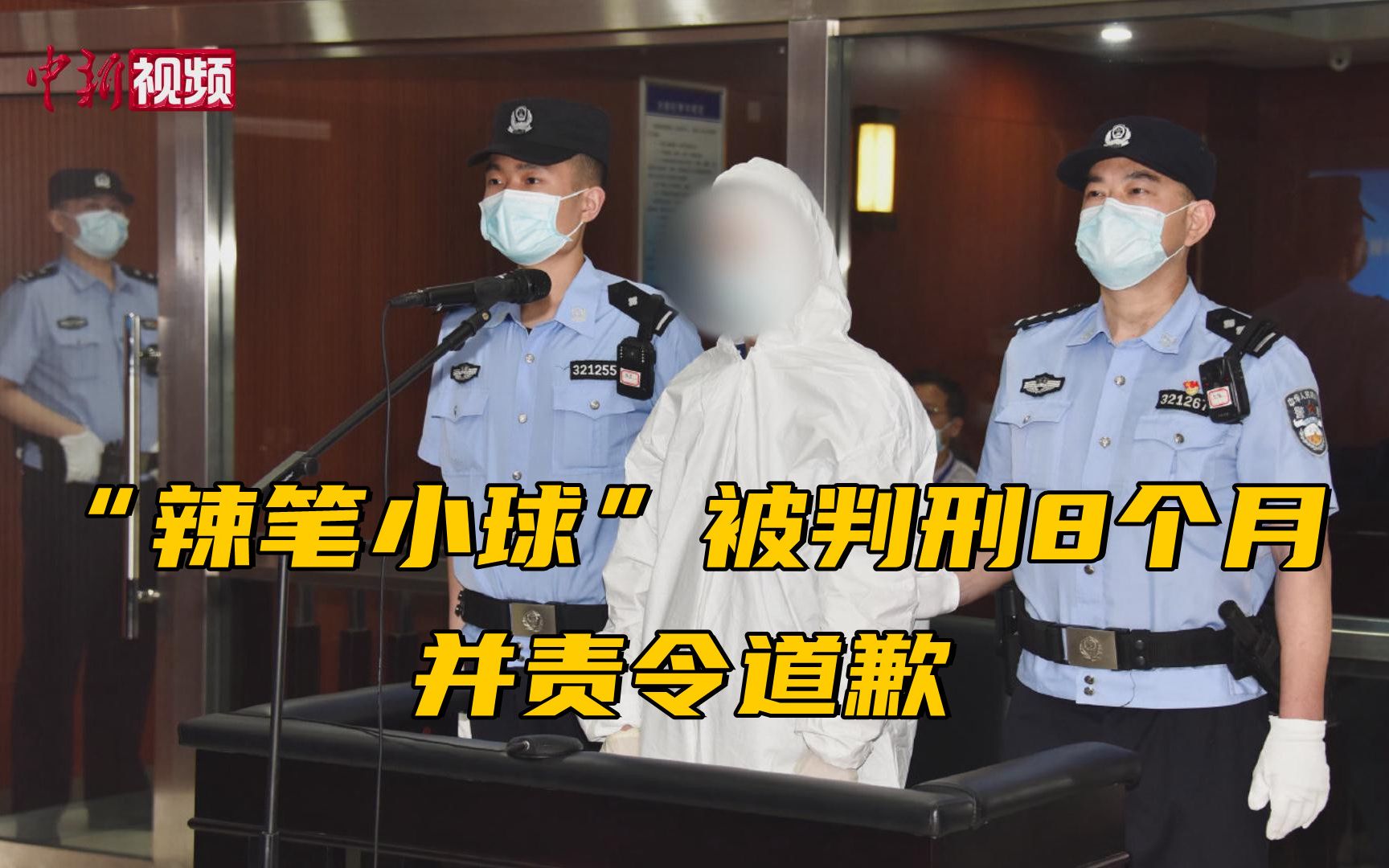 “辣笔小球”被判刑8个月并责令道歉哔哩哔哩bilibili