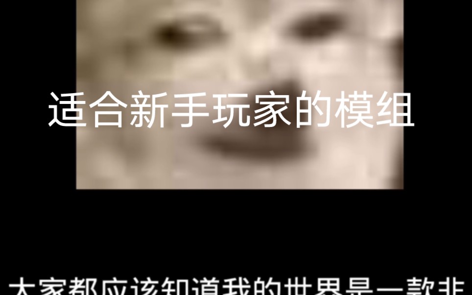 我的世界适合新手玩家的模组我的世界