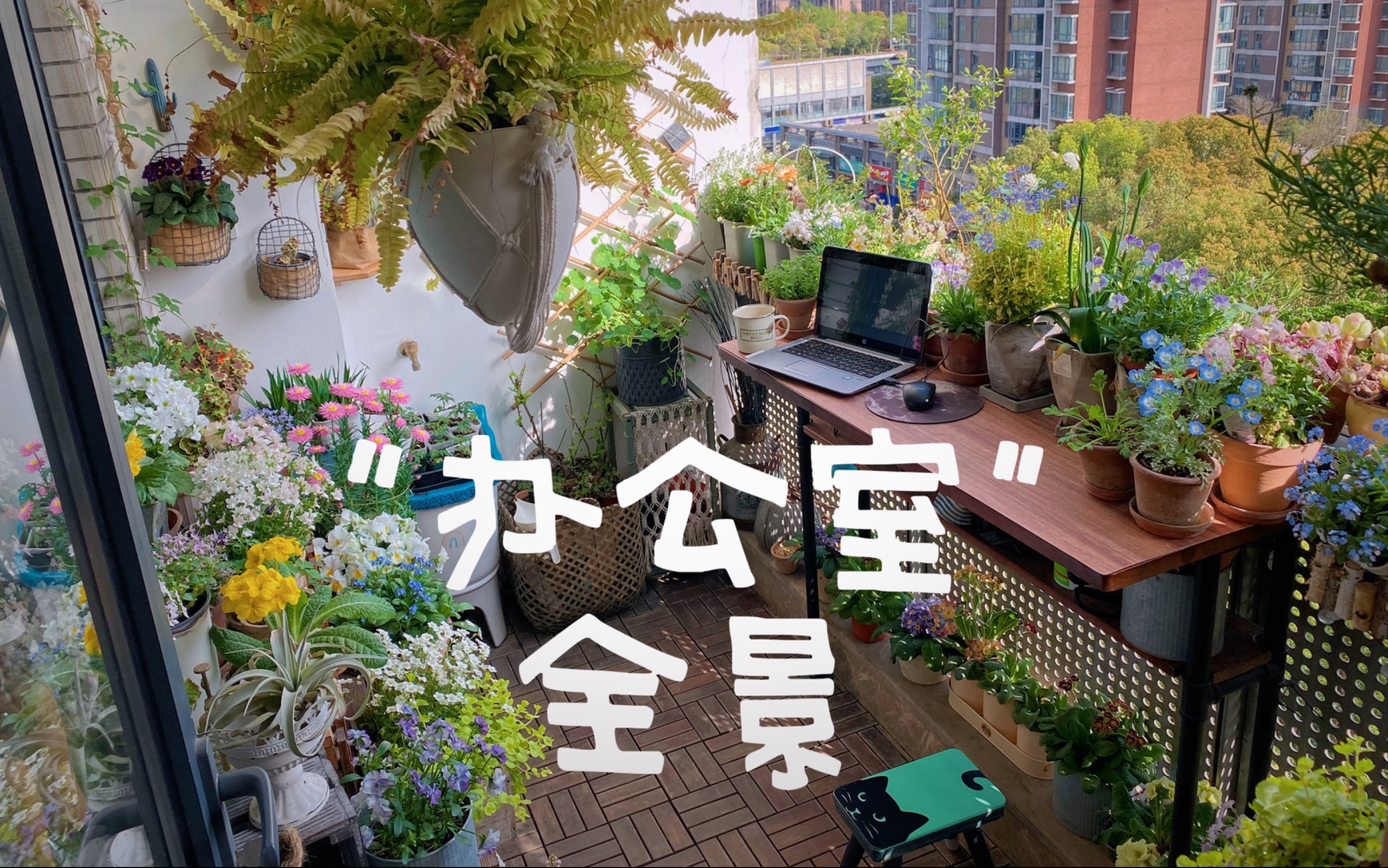 又假又做作,炫耀一下我的空中花园"办公室"