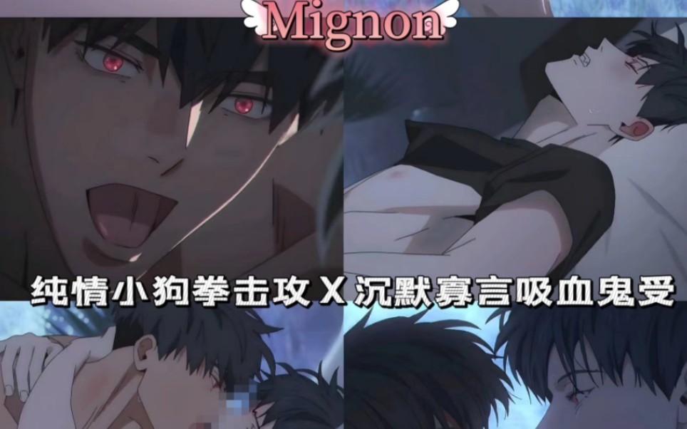 [图]『 Mignon 』无删12集+番外全～今天你嗑了吗？