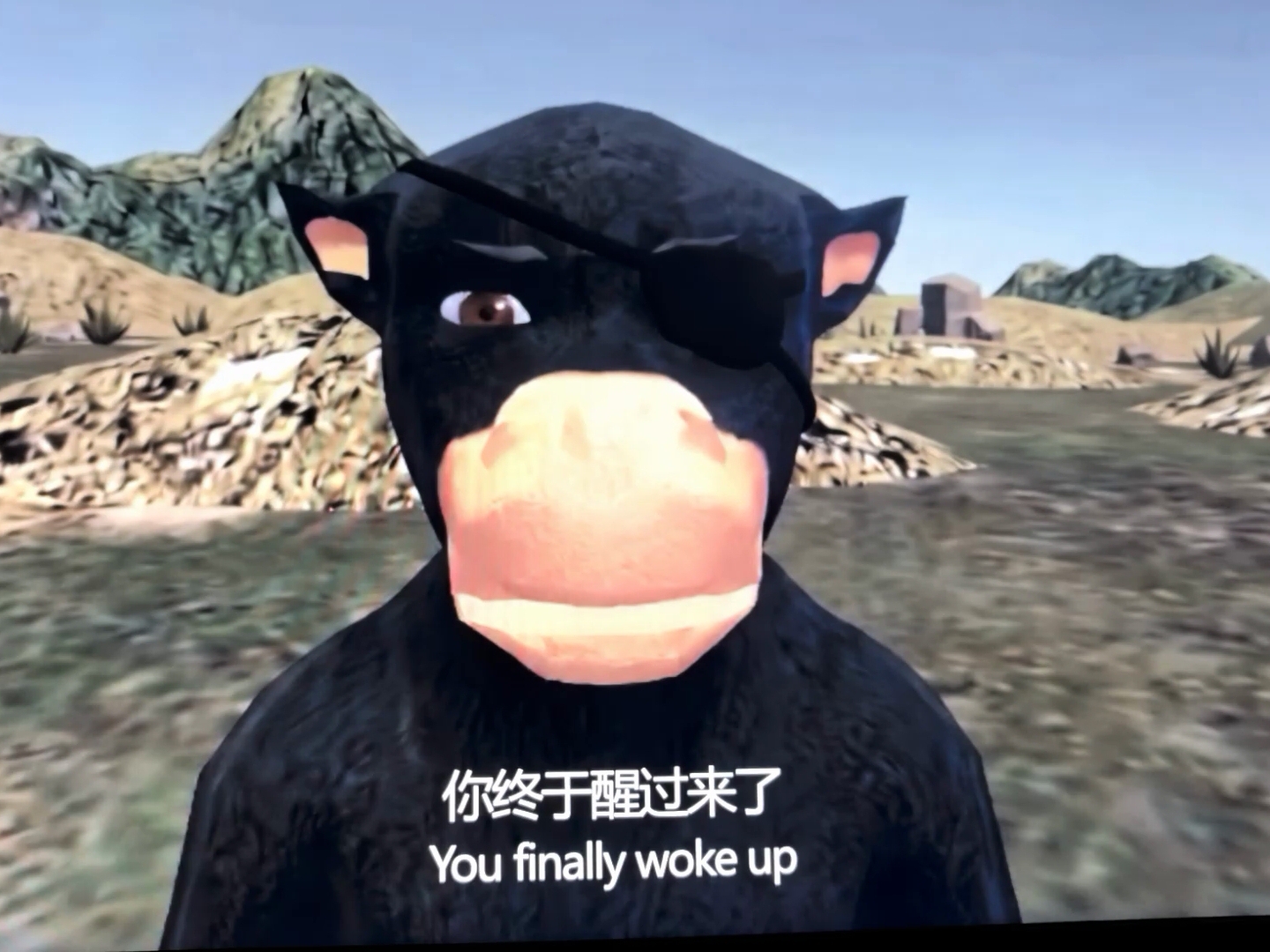 越来越期待妇联五了