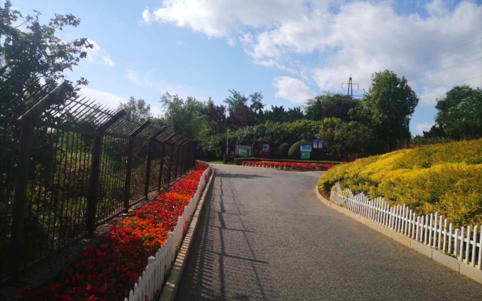 活动  周北公园掠影