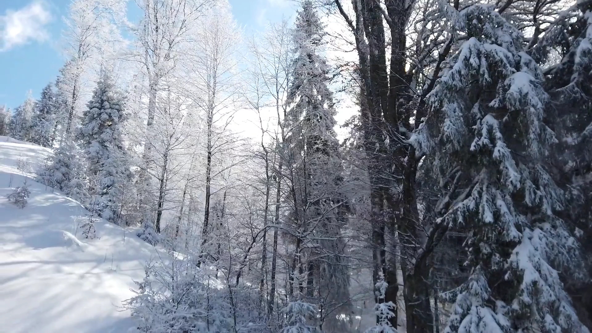 [图]你在 春华秋实夏蝉冬雪；你不在，春夏秋冬