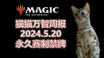 Download Video: 【万智牌】史上禁牌数量最多的禁牌表公告：猫猫万智周报5/20【Magic the Gathering】