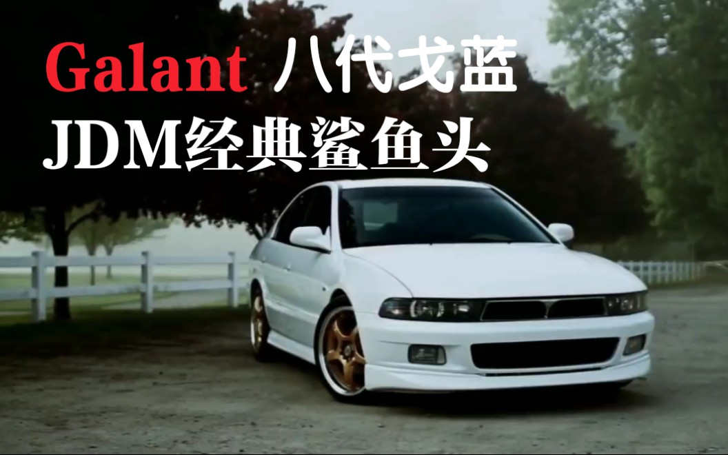 八代戈蓝 VR4图片