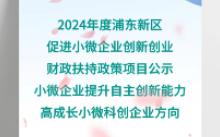 浦东新区促进小微企业创新创业财政扶持政策项目公示(小微企业提升自主创新能力、高成长小微科创企业方向)哔哩哔哩bilibili