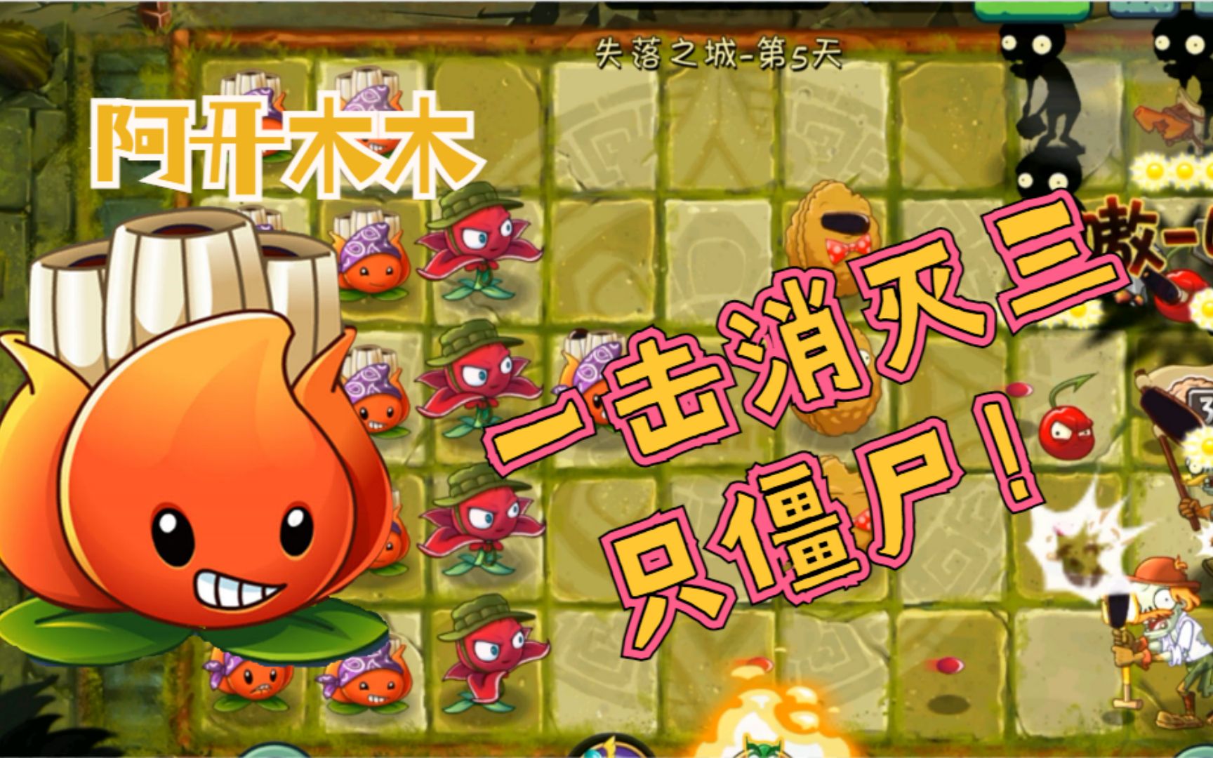 植物大战僵尸:炮弹小子阿开木木到底有多厉害?一击消灭三只僵尸!