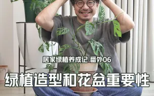 下载视频: 花盆和造型对植物颜值提升何止一点点！今天来给仙洞龟背竹整个型