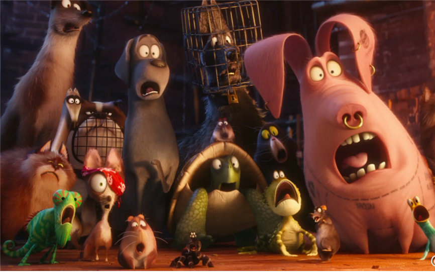 电影动画喜剧爱宠大机密个性特辑