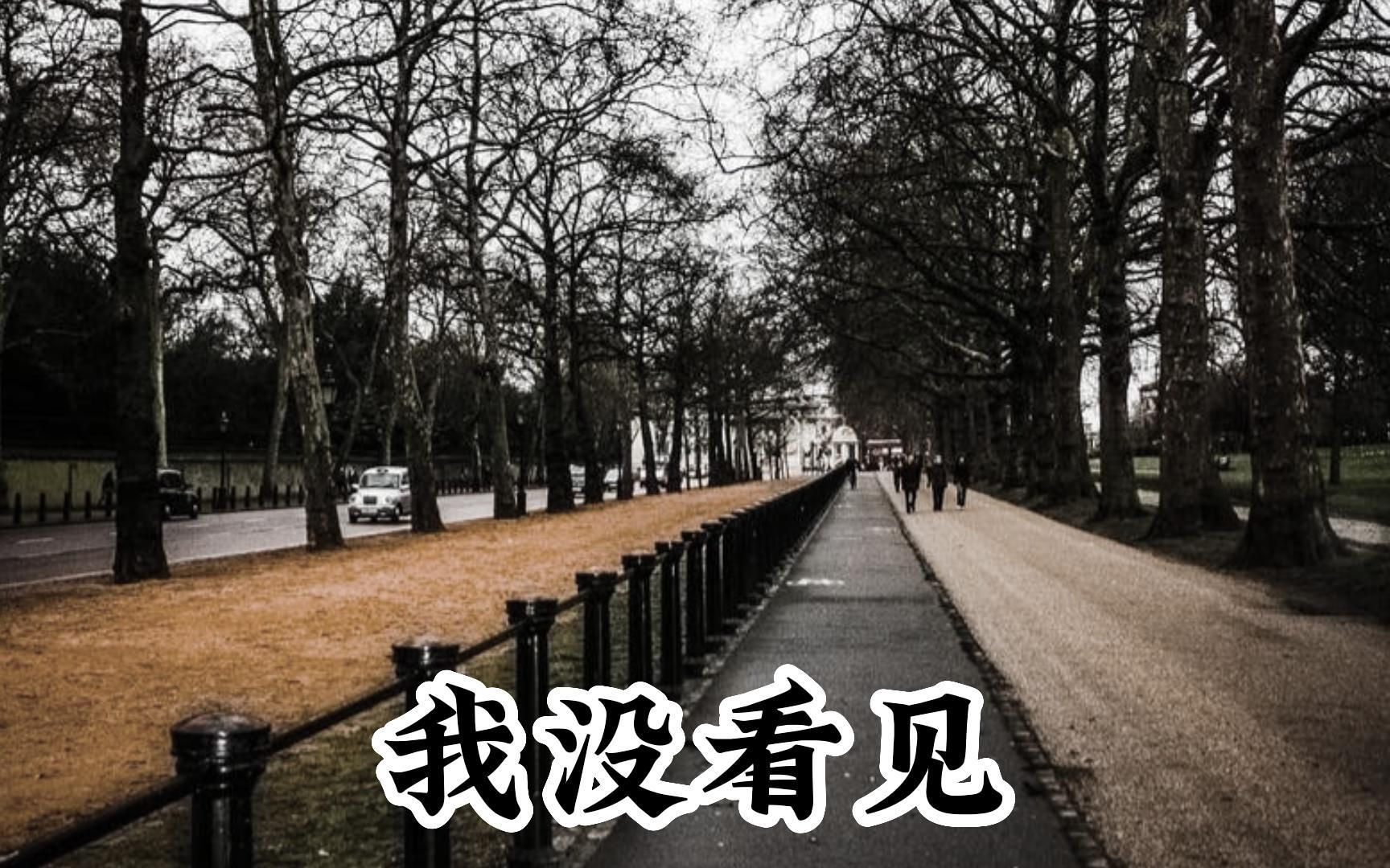 我是真的没看见呀(本故事纯属虚构)