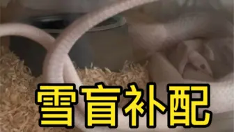 你咬你老婆干啥