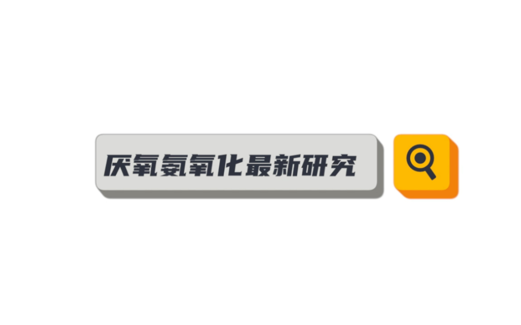 荷德团队破解红菌核心酶结构,主流厌氧氨氧化指日可待?哔哩哔哩bilibili