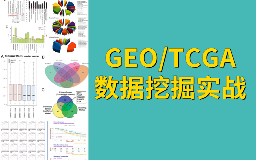 开启数据挖掘之门:GEO、TCGA数据库入门必看!哔哩哔哩bilibili