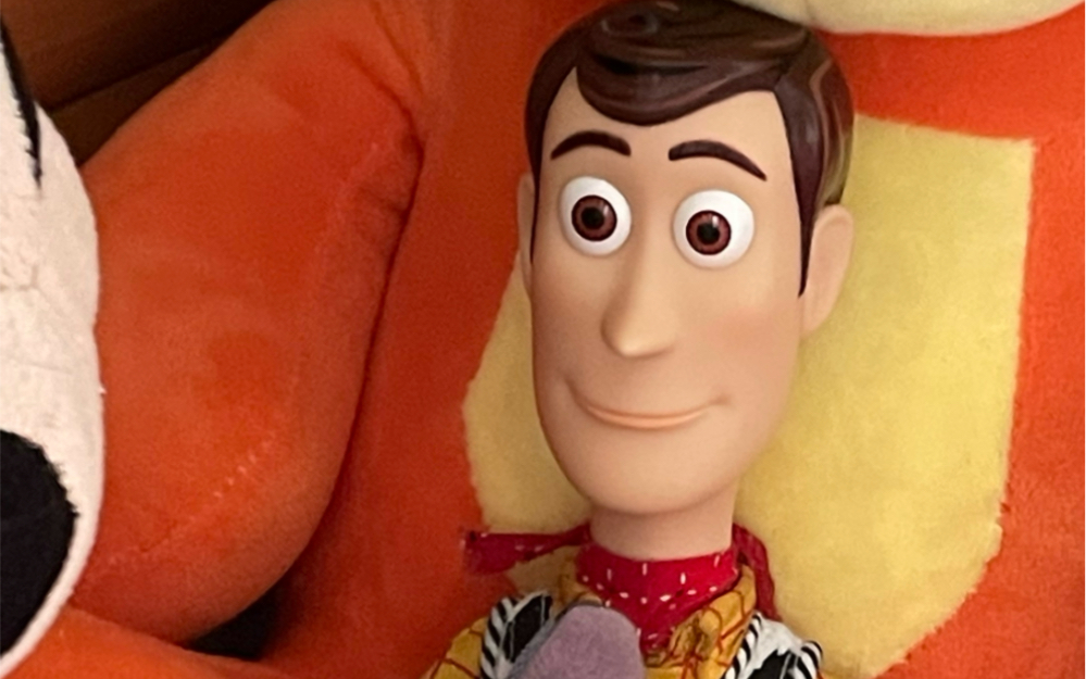 你好呀胡迪 我的朋友