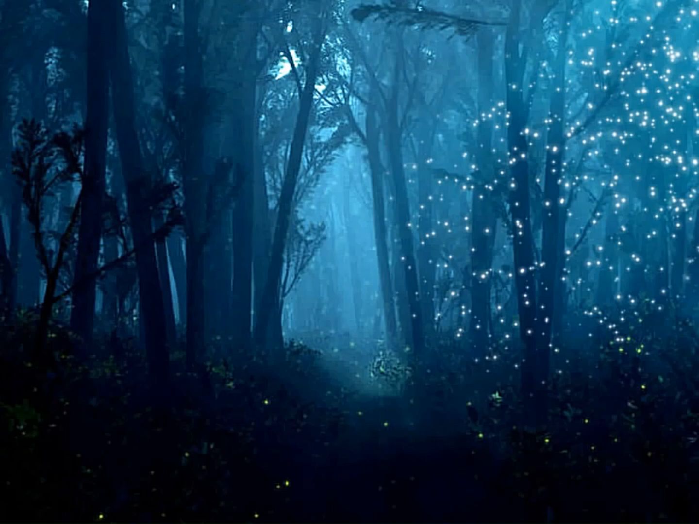 (ksr60)梦幻童话森林晚会仙境舞台led背景视频素材(17)