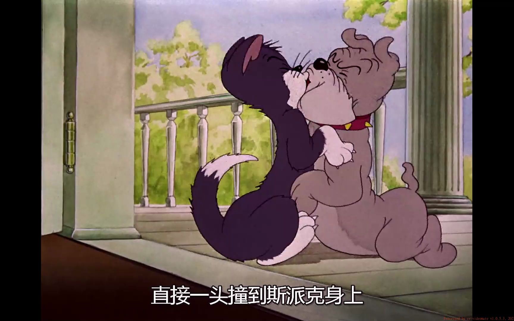 杰瑞和汤姆被斯派克追杀,没想到自己遭殃了!