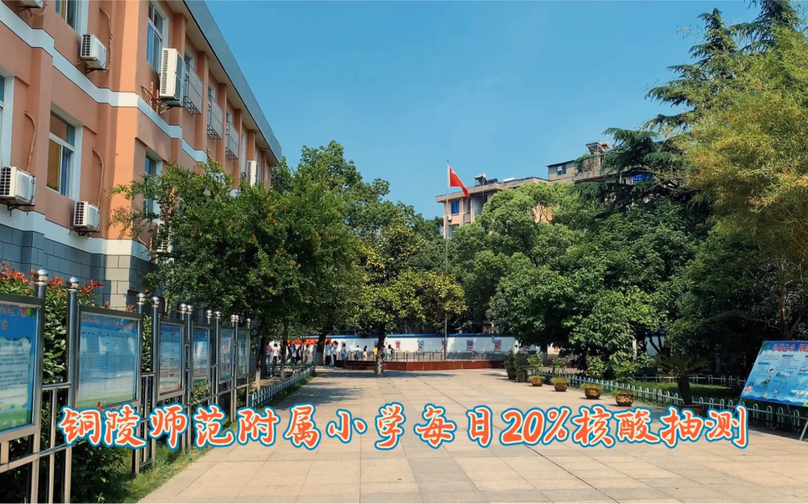 铜陵师范附小第五轮第四天20%核酸抽检,采样243例,预防为主