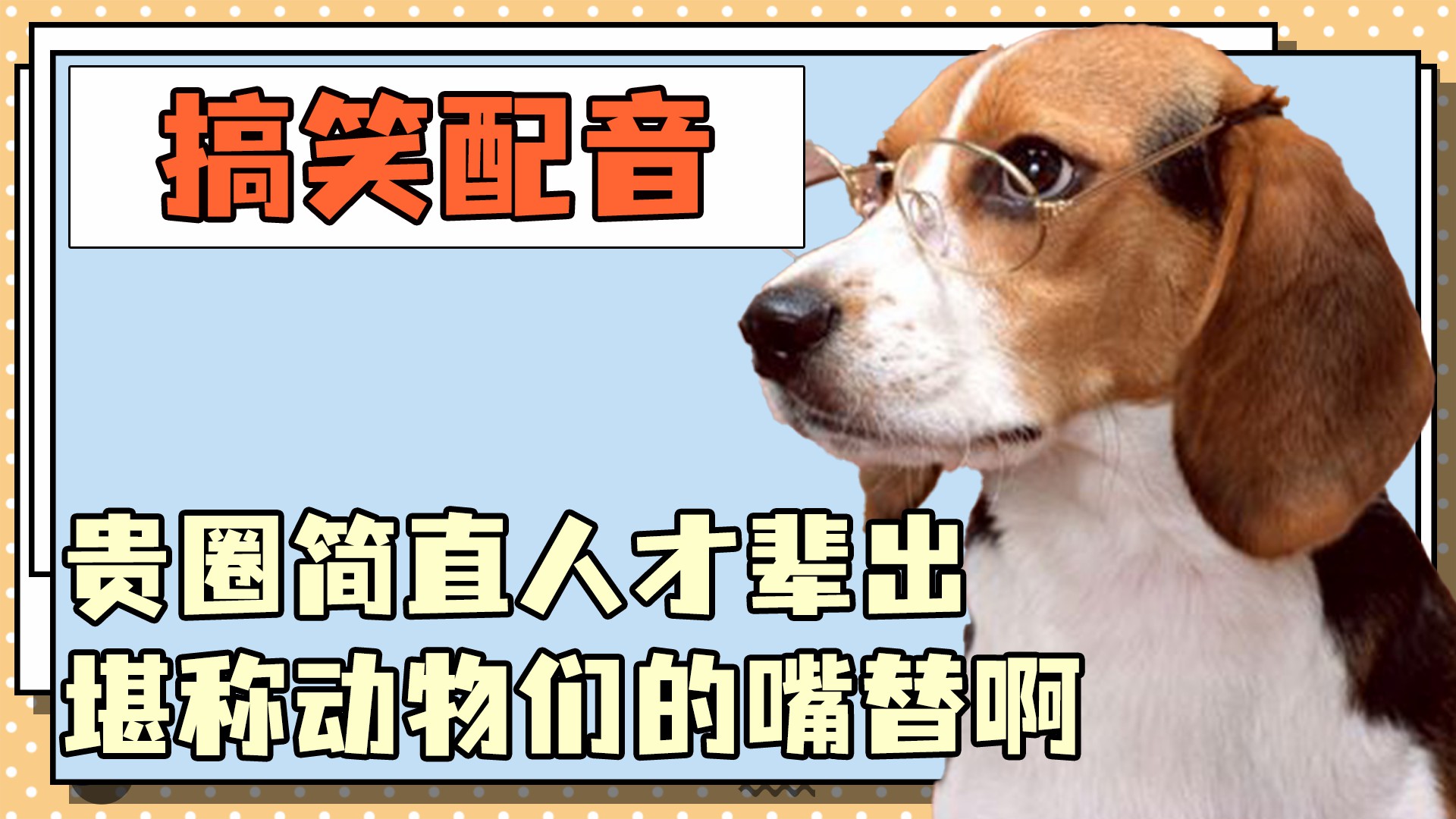 那些搞笑配音名场面,贵圈简直人才辈出,堪称动物们的嘴替