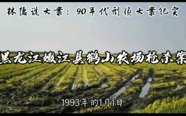 【林隐说大案】90年代刑侦大案启示录丨1993年黑龙江嫩江县鹤山农场二队枪杀大案:睚眦必报的偏执杀人狂哔哩哔哩bilibili