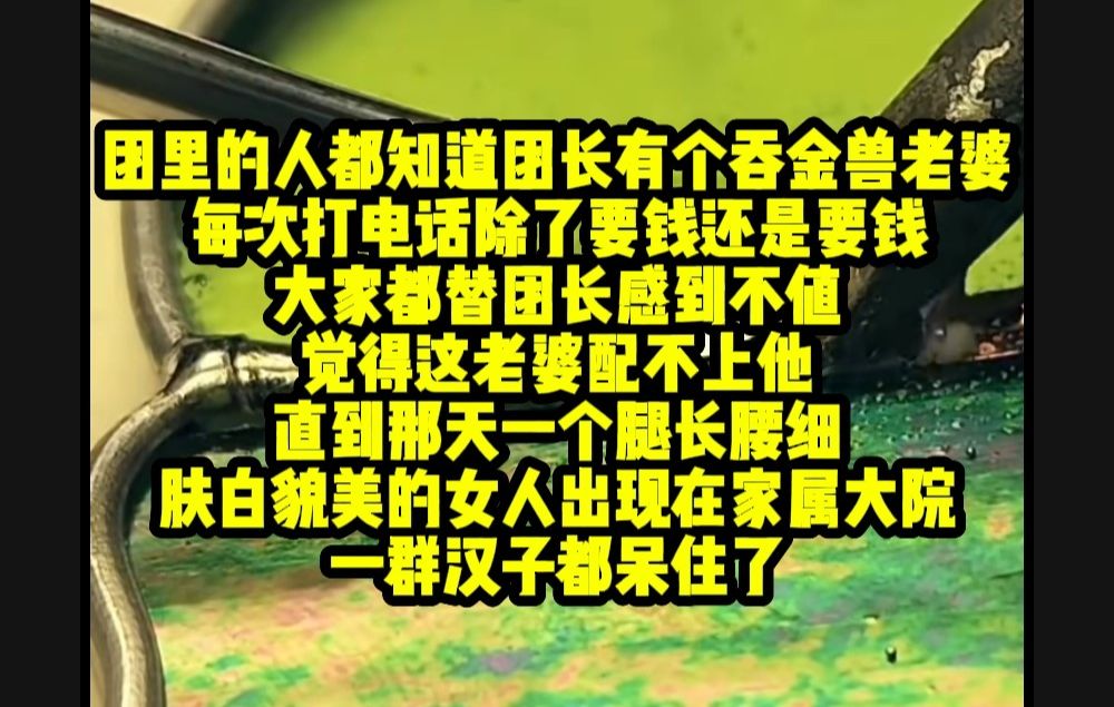 [图]团里的人都知道团长有个吞金兽老婆，每次打电话除了要钱还是要钱，大家都替团长感到不值，觉得这老婆配不上他，知道那天一个腿长腰细肤白貌美的女人出现在家属大院..