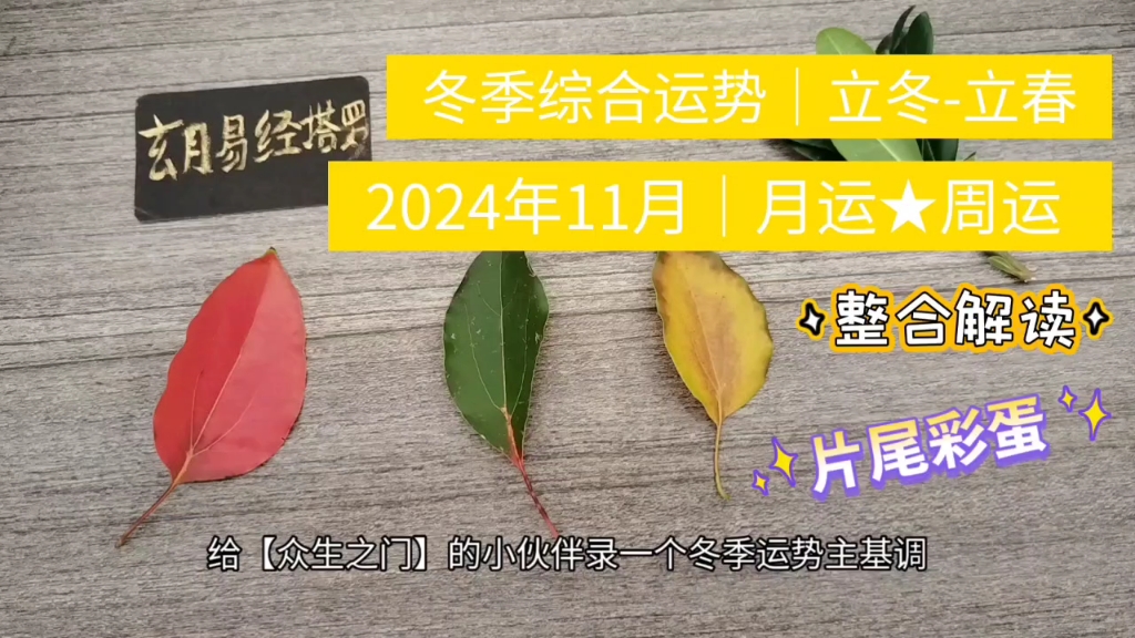 【众生之门】2024年冬季运势|11月月运|每周运势|片尾彩蛋~(中国易经和塔罗牌综合解读,超详细)哔哩哔哩bilibili