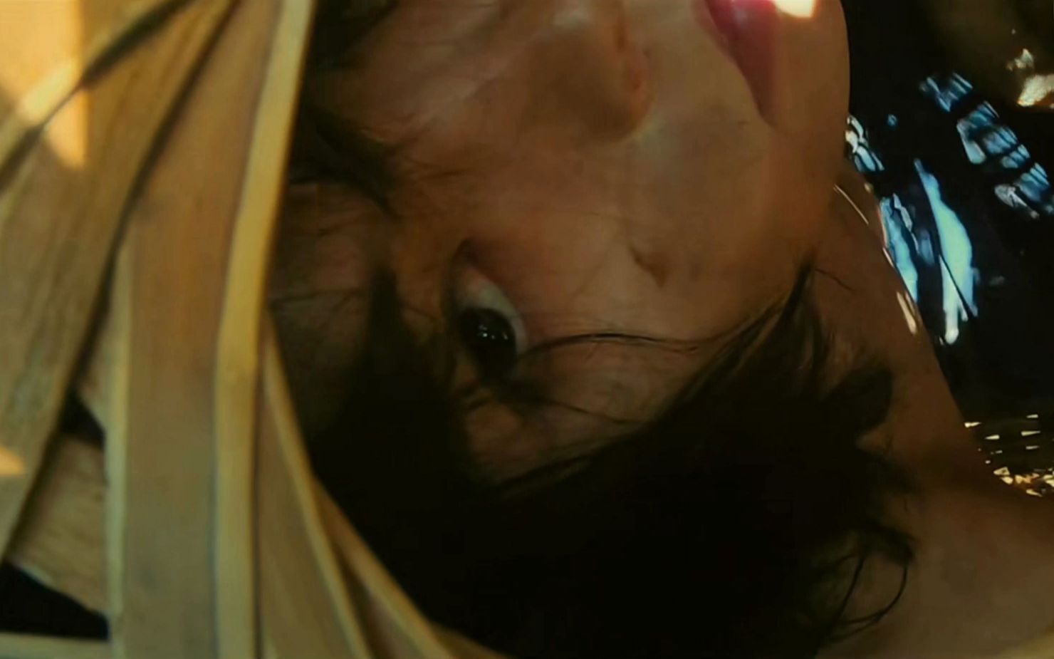 肖宇梁张起灵阿坤钓尸野猫出笼记