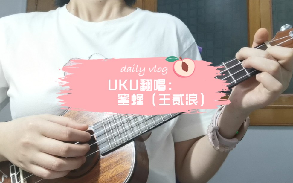 【UKU翻唱vlog】王贰浪——蜜蜂哔哩哔哩bilibili