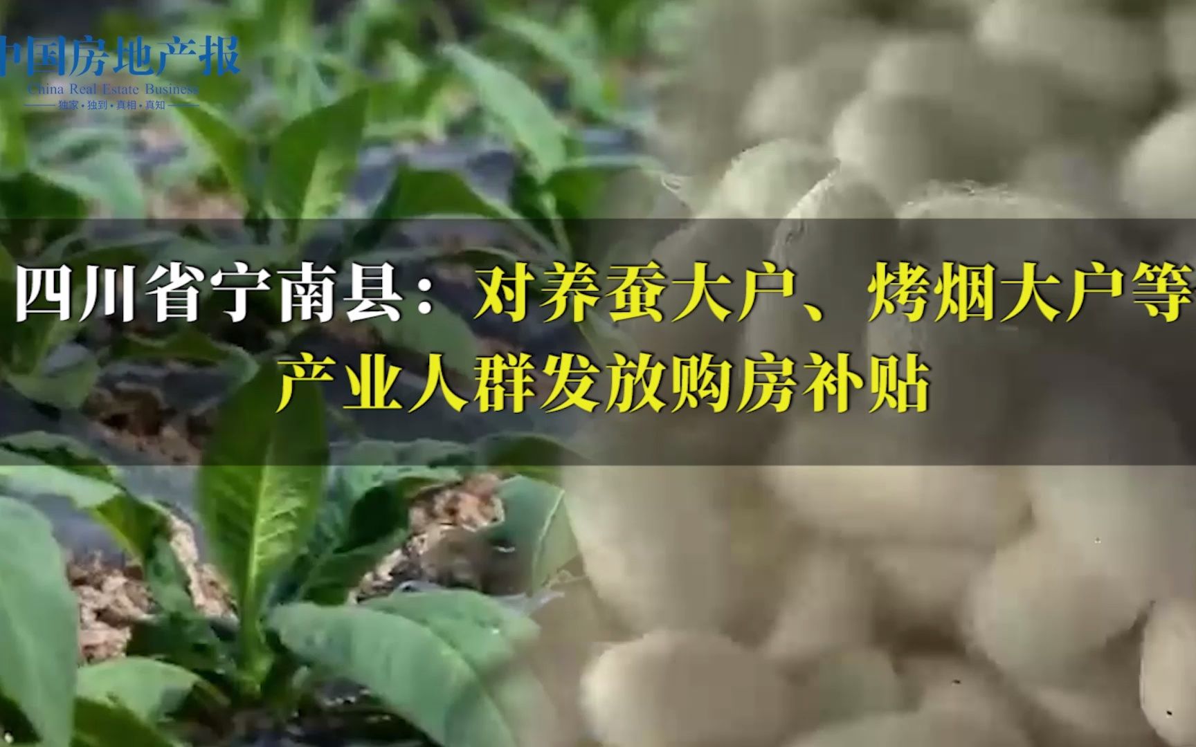 四川省宁南县:对养蚕大户、烤烟大户等产业人群发放购房补贴哔哩哔哩bilibili