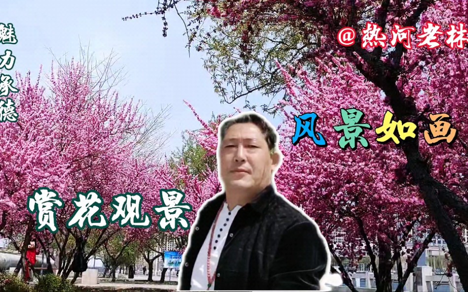 [图]《魅力承德》武烈河沿岸赏花观景，把最美的风景献给你，20