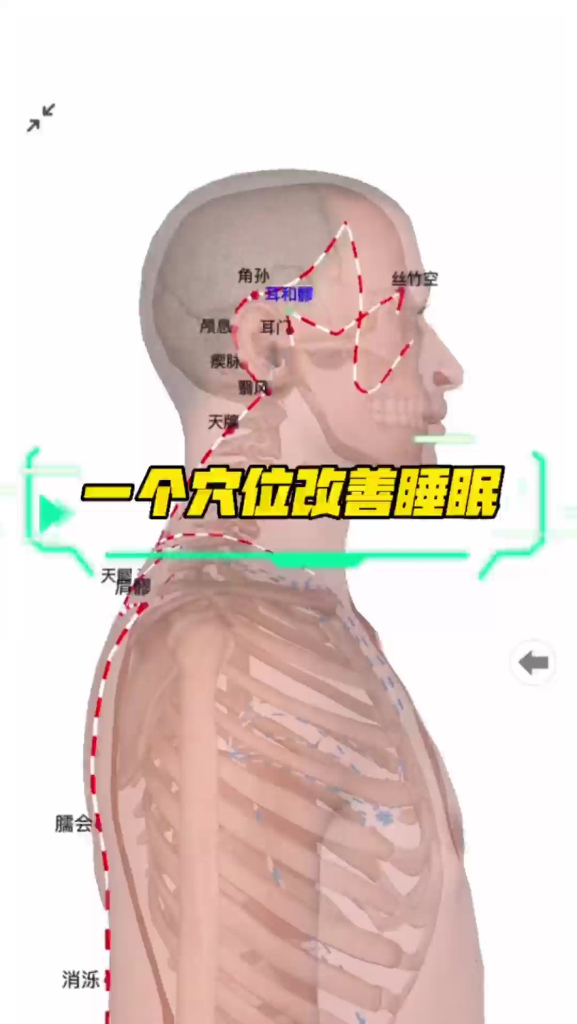 耳和髎穴.失眠多梦,改善睡眠.经外奇穴之耳尖穴.哔哩哔哩bilibili