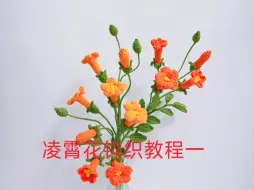 下载视频: 凌霄花钩织教程一：大花朵，小花朵，大花苞的钩织，凌霄花象征慈母之爱，寓意对母亲的尊重，代表对母亲的感恩，适合送给母亲