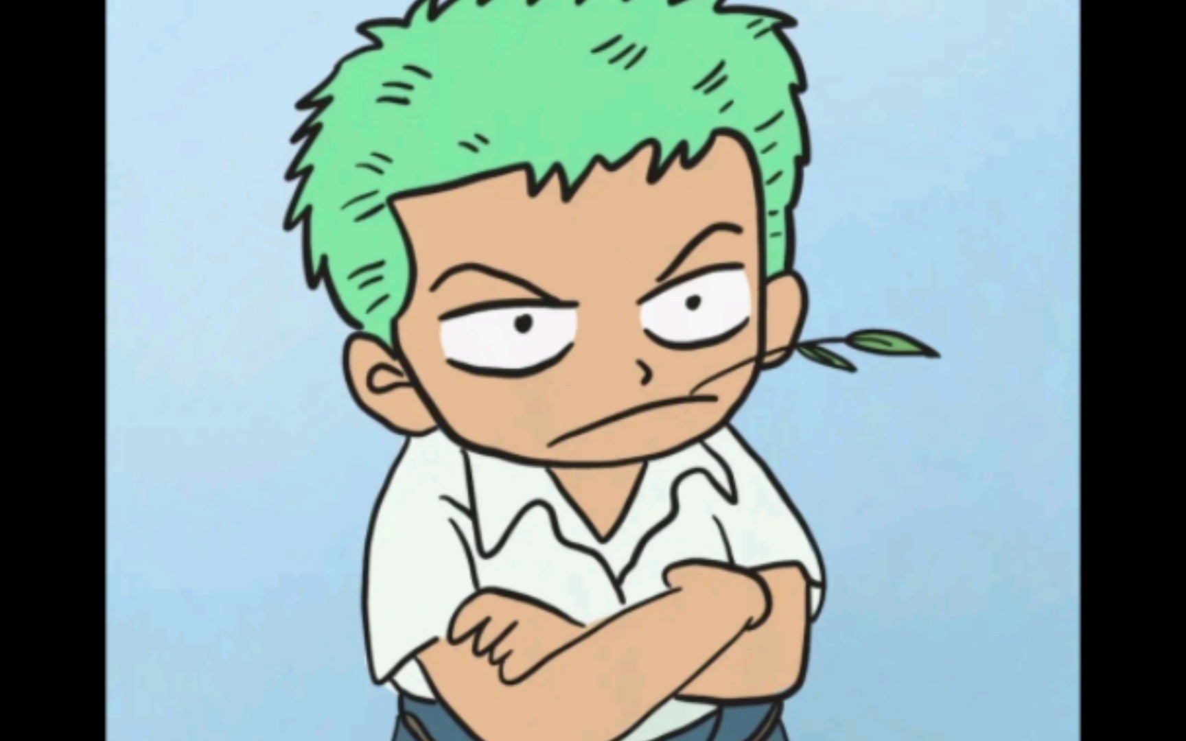 【动态壁纸】第二期 王之双翼 罗罗诺亚索隆