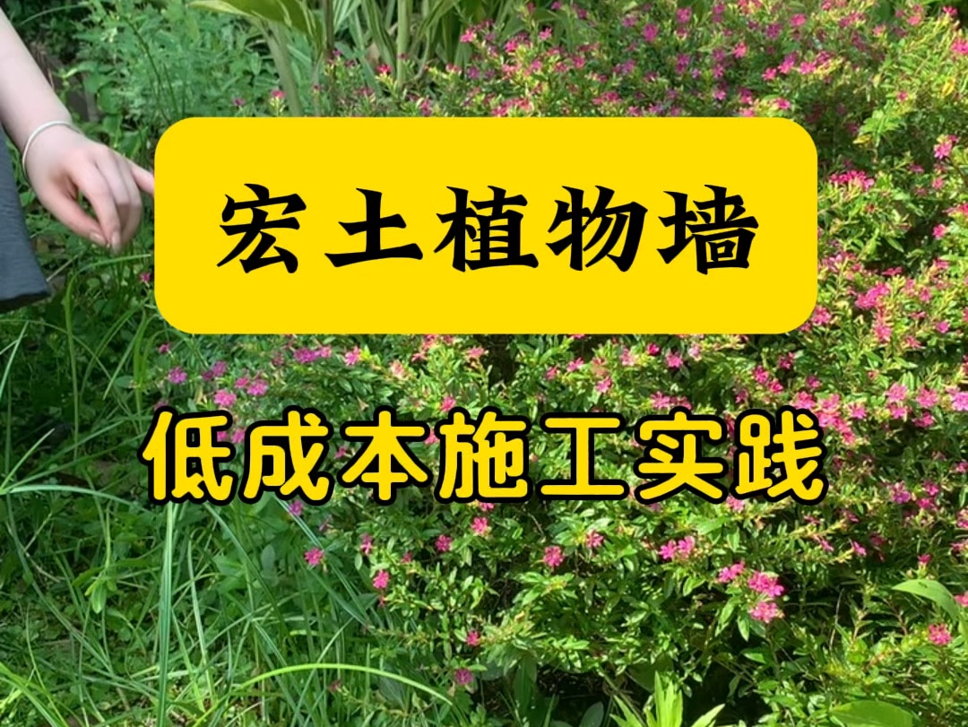 如何拥有水肥充足的植物墙?把土壤和灌溉系统安排到位就行啦!#边坡绿化 #生态修复 #护坡绿化 #固化纤维土哔哩哔哩bilibili