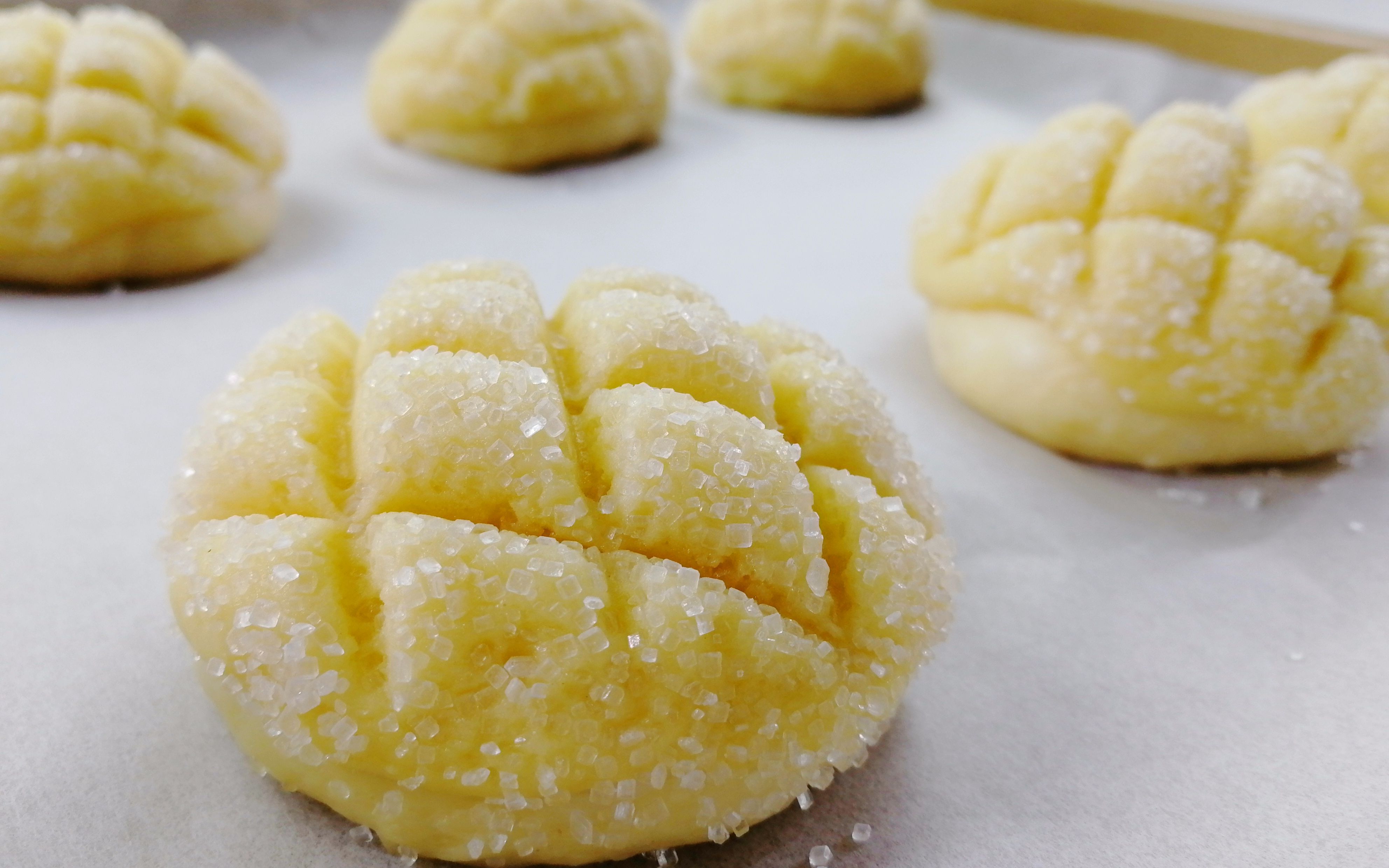 30天挑战100道面包,中种法制作原味菠萝包_哔哩哔哩_bilibili