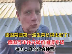 Download Video: 德国邻居:中国人真的会种菜！第一波生菜出来了，根本吃不完，送了点给邻居，把他羡慕的不行了！#广东人在德国#中国人种菜的执念