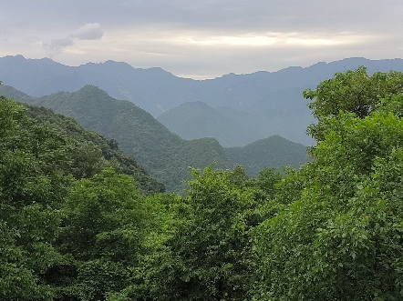 西安万花山森林公园图片