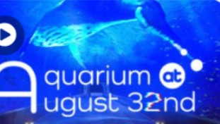 电脑游戏8月32日的水族馆免费送单机游戏热门视频