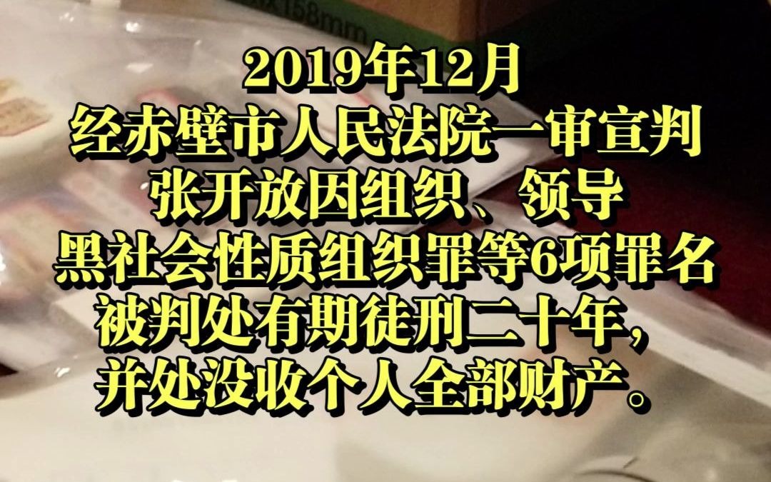 张开放涉黑案部分罚没资产正式移交襄阳托管.哔哩哔哩bilibili