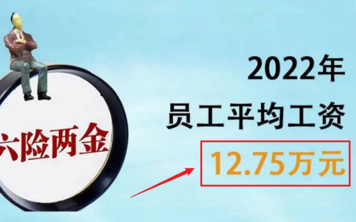 平均年薪12.75万元,河北港口集团!哔哩哔哩bilibili