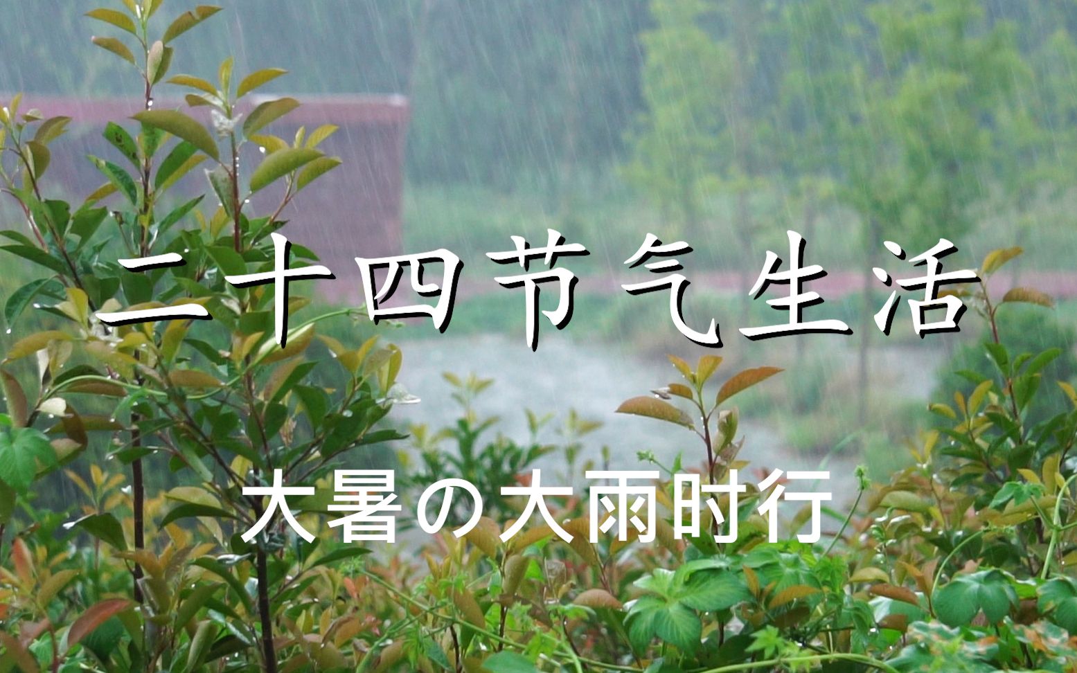 【边城二十四节气】大雨时行哔哩哔哩bilibili