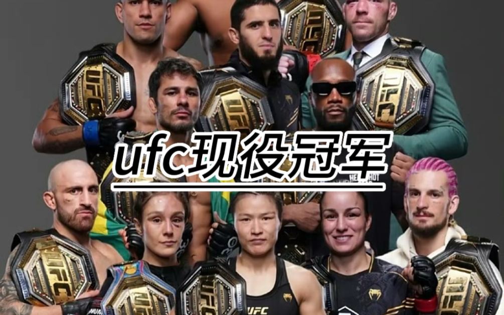 ufc现役各个级别的冠军你能认识几个?哔哩哔哩bilibili